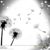 Tracy Shetsky's profile image