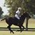 Sabrina King Straussfeld's profile image