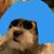 Alexandra Medina's profile image