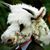 Steve Hapy's profile image