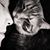 Ginger Menser's profile image