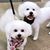 Carol M. Evans's profile image