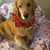Rita Marie Armstrong's profile image
