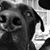 Jorge Moreno's profile image