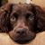 Nicole Willingham Looney's profile image