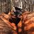 Weston Lay's profile image