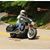 Susan Emrich Trusty's profile image