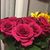 Maria Rico's profile image