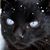Wendy Louise Short's profile image