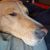 Kelly Satchell's profile image