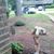 Robin Kelley Davis's profile image
