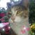 Jeanne Rosenberg's profile image