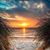 Susan Worman's profile image