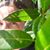 Catalina Mulet D's profile image