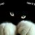 Sandi Hedeen's profile image