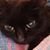 Diane Jenkins's profile image