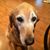 Karen D Neeley's profile image