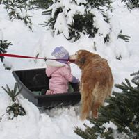 Josh Mike's profile image