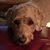 Debbie Foreman's profile image