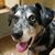 Sandi Boggs's profile image