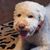 Harriet Schreiner's profile image