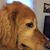Franny Jacobson's profile image