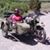 Donna Karasek's profile image