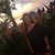 Dana Koller Truxell's profile image