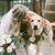 Allie Wildharber Williams's profile image