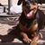 Sharon Tilley Bronson's profile image