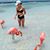 Allie Plummer's profile image