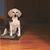 Jane Ebben's profile image