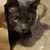 Sandra Haueter Menninga's profile image