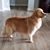 Lora Tamburo Bliss's profile image