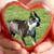 Shirley Sanders's profile image