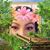 Ofelina Cortez Pineda's profile image