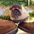Donlyn Nail's profile image