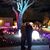 Sherri Lee Hebert's profile image