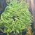 Doug Buchan's profile image