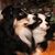 Jennifer Farnan's profile image