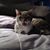 Jeff Burkholder's profile image