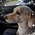 Kelly Kraft Daoud's profile image