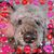 Martha Rossetti's profile image