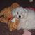 Jayne Glendinning's profile image