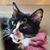 Christie Labbe's profile image