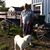Dennis Koers's profile image