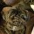 Karen Mary's profile image
