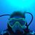 Susan Klepise Jerrim's profile image