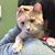 Colleen Krauter Lmt Ntp's profile image