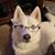 Heather Olinger's profile image